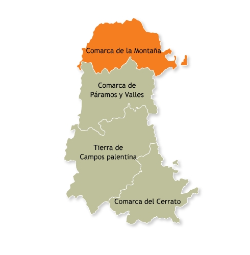 casas rurales en la monta a palentina las casas rurales turismo rural selecci 243 n de casas casas rurales en la monta a palentina las casas rurales turismo rural selecci 243 n de casas