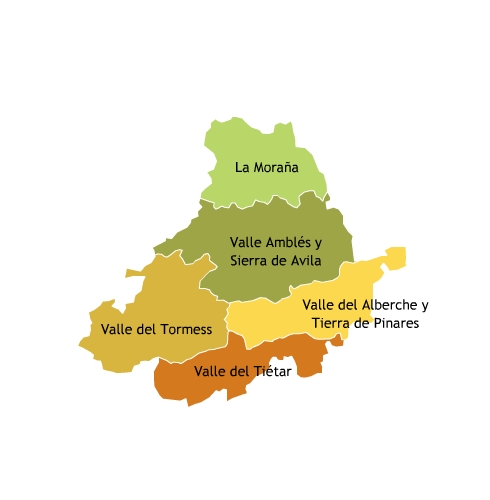 AVILA