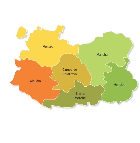 CIUDAD REAL