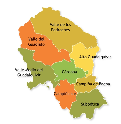 CORDOBA