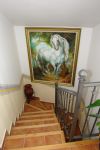 Escalera a la terraza