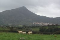El pueblo