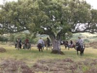En burro por Arribes del Duero.